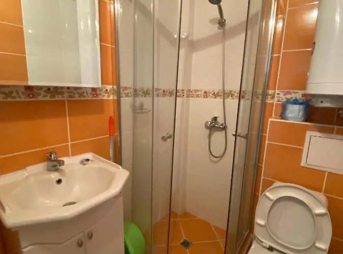 In Complex Colosseum *