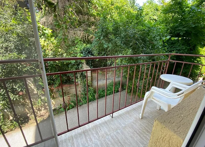 In Complex Colosseum *