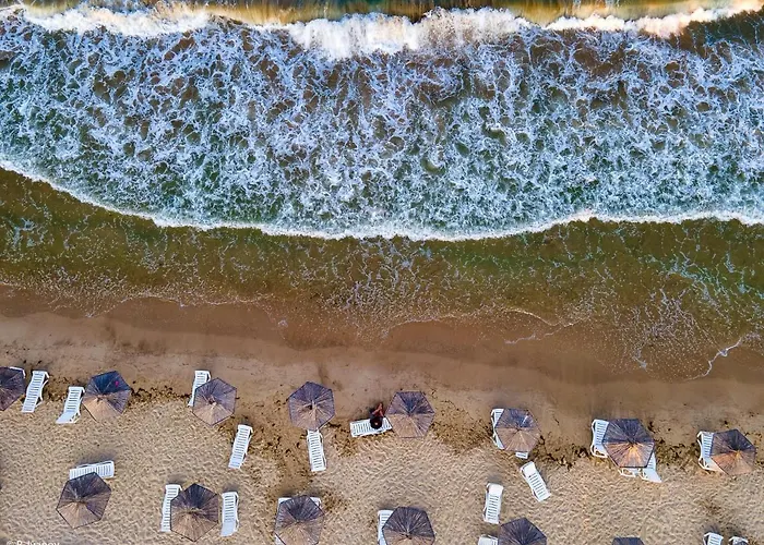 Lejlighed In Complex Colosseum *